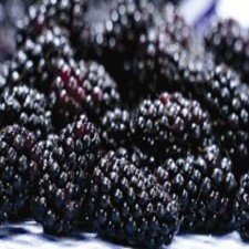 Blackberry